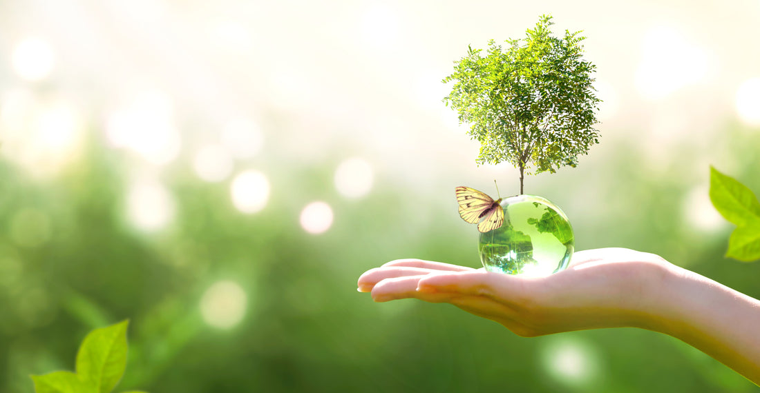 How Can Essential Oils Help Though Vibration?